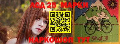 spice Кунгур