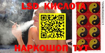 spice Кунгур